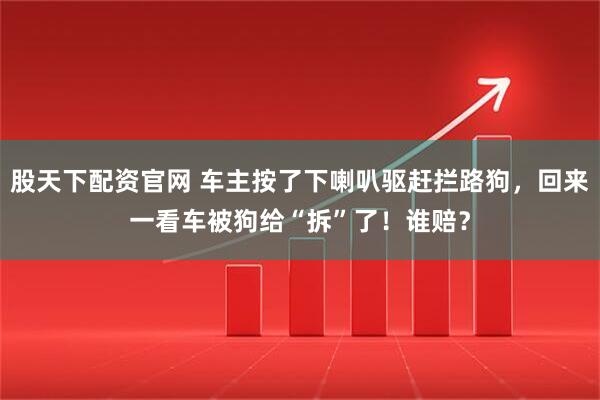 股天下配资官网 车主按了下喇叭驱赶拦路狗，回来一看车被狗给“拆”了！谁赔？